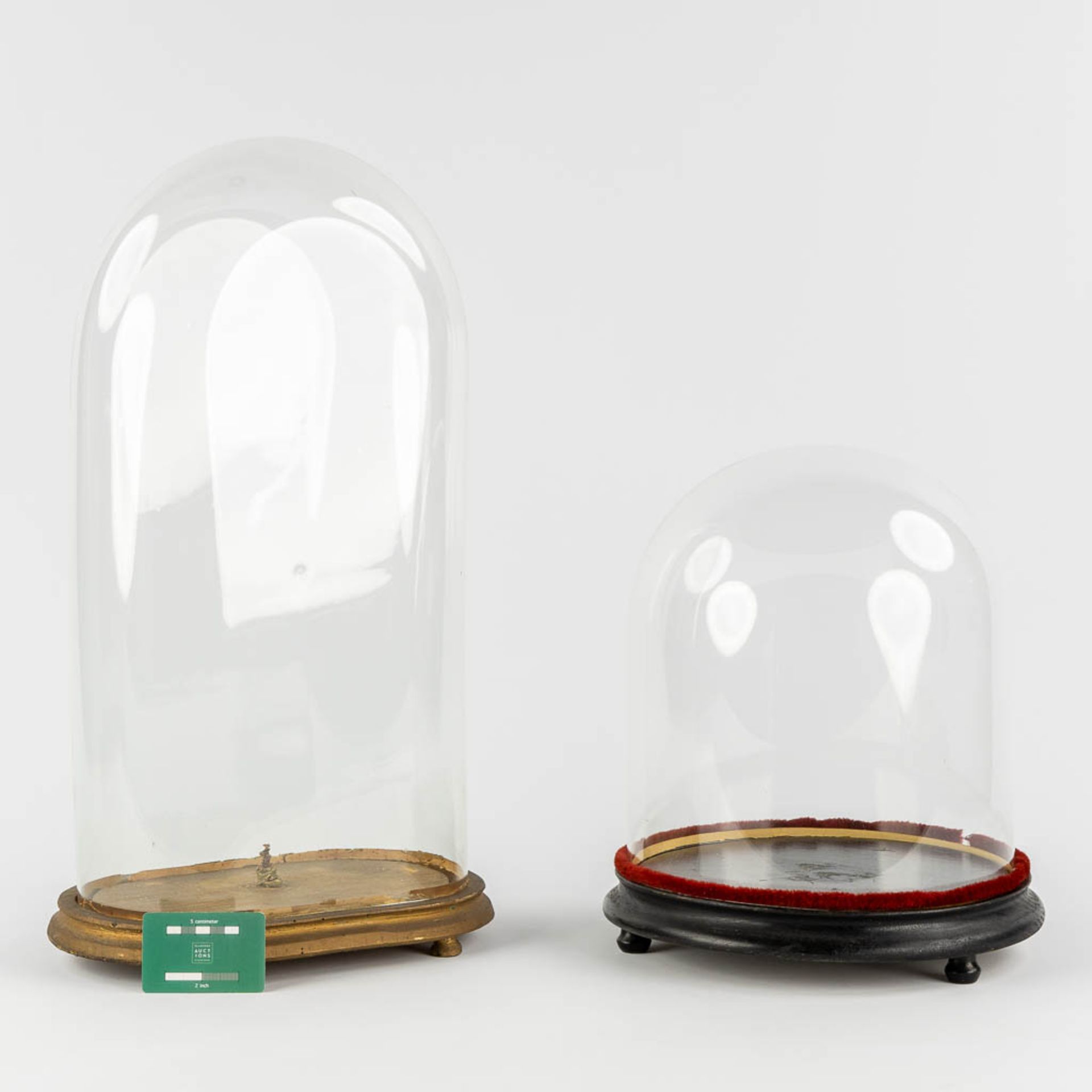 Two glass domes on a wood base. (H:60 cm) - Image 2 of 8
