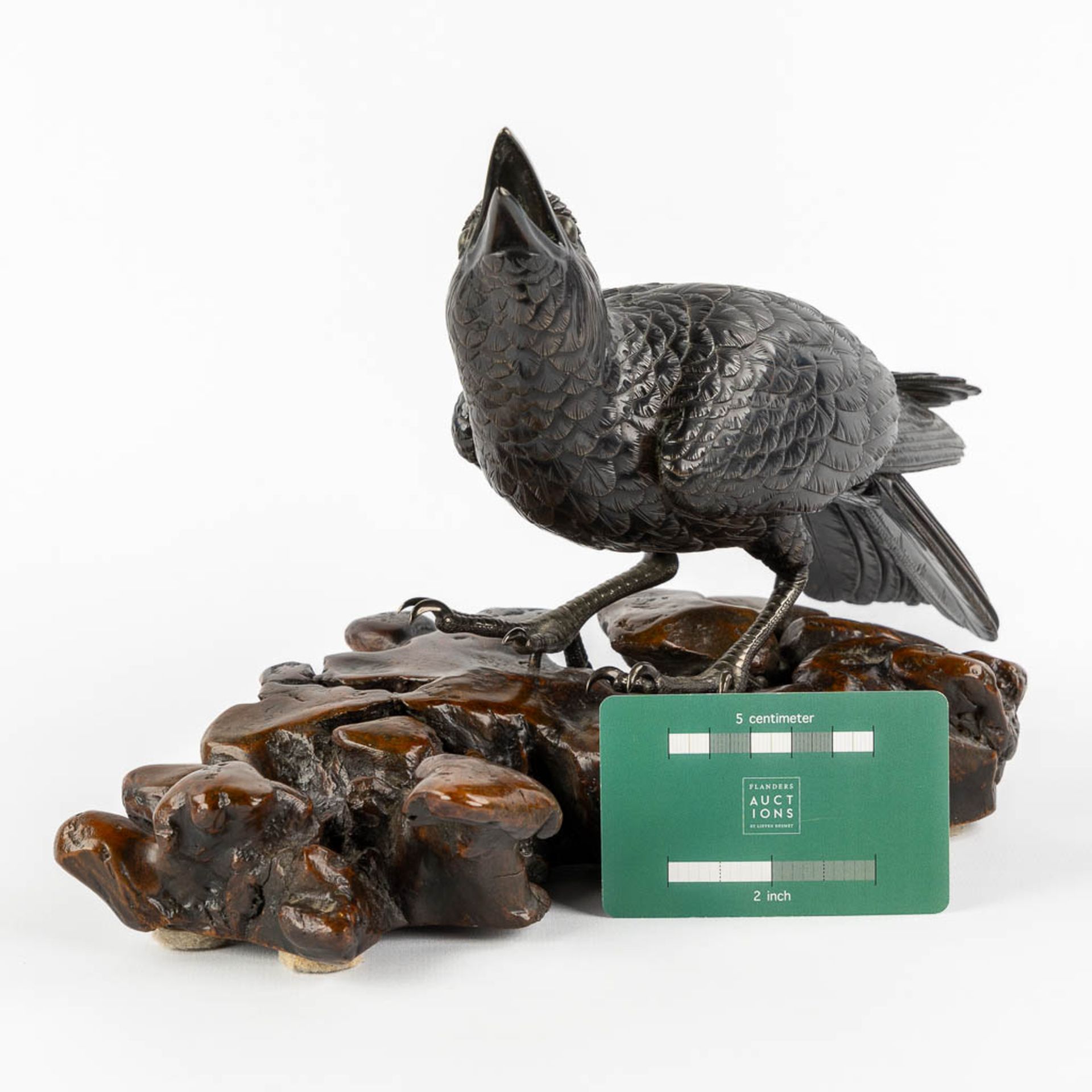 A Raven, patinated bronze mounted on a wood base. Probably Japan. (L:17 x W:30 x H:17 cm) - Image 2 of 10