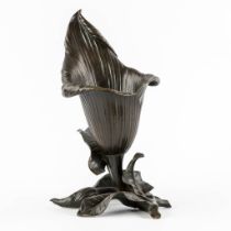 A large flower 'Arum', patinated bronze. (W:18 x H:31 cm)