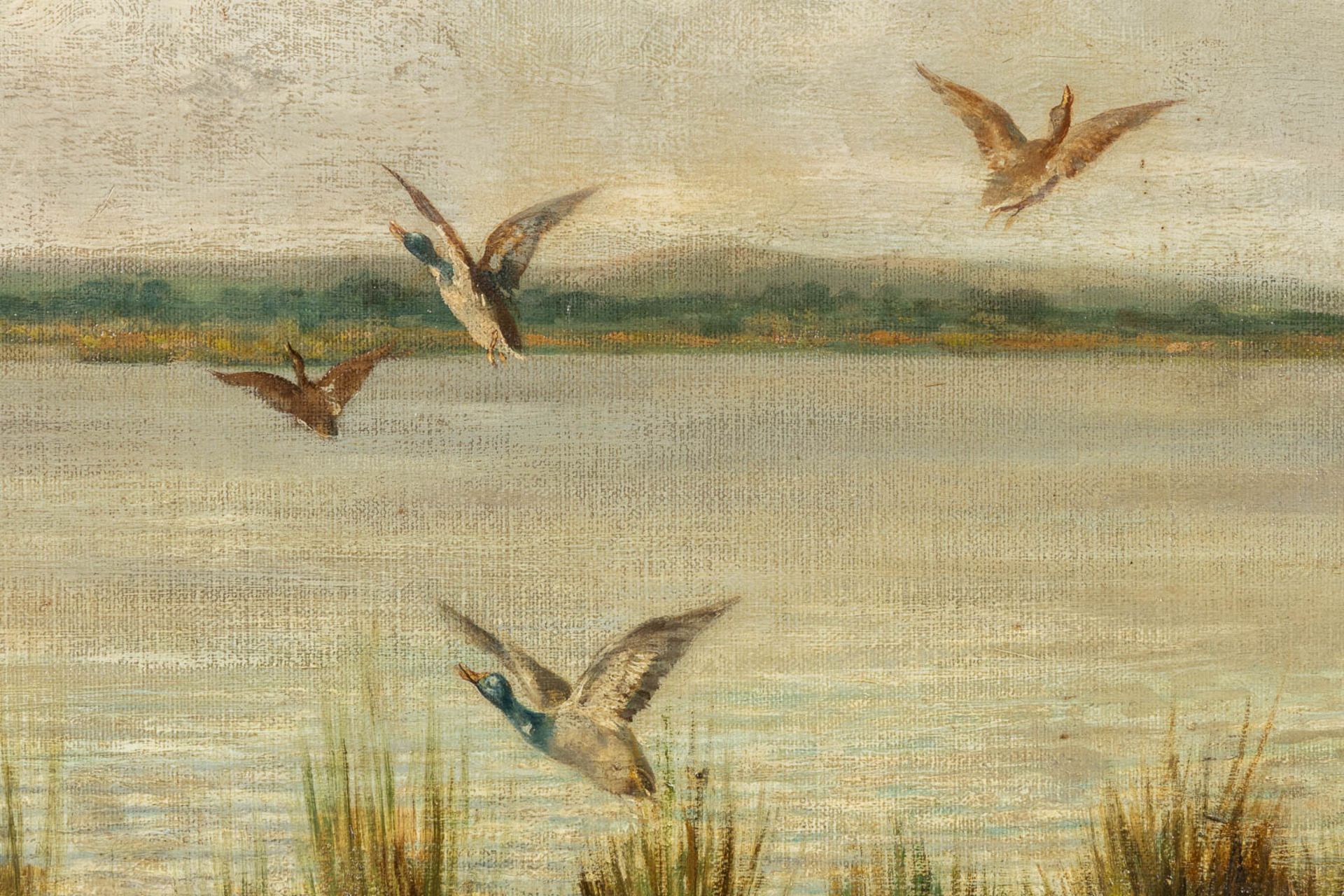 Georges VAN NUFFEL (XIX) 'Dog chasing ducks' oil on canvas. (W:100 x H:70 cm) - Image 4 of 9