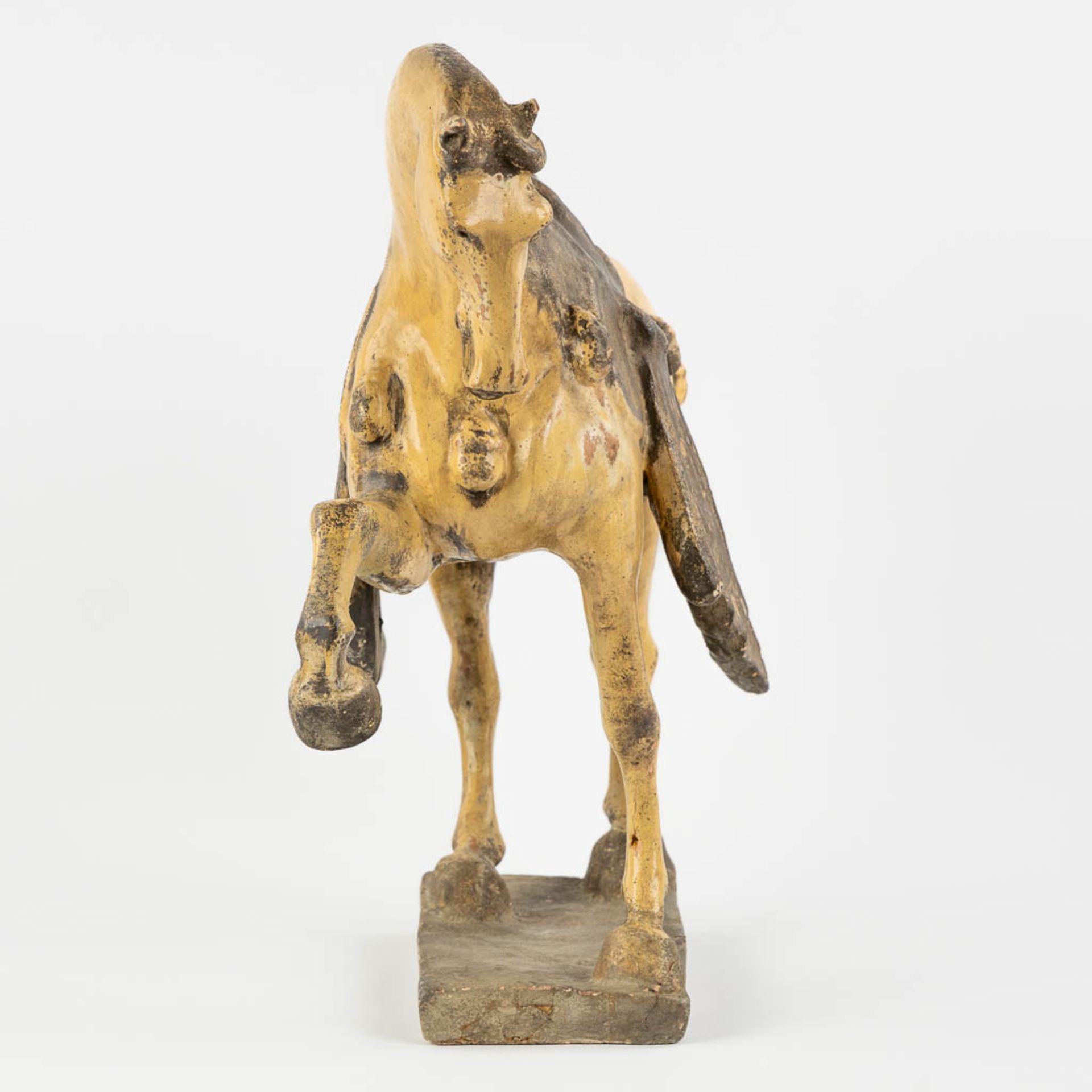 A terracotta figurine of a horse, in the style of Tang Dynasty. (L:20 x W:42 x H:42 cm) - Image 6 of 12