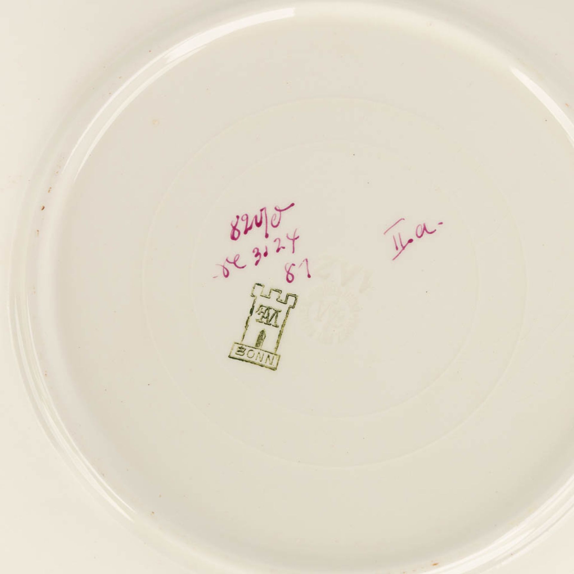 Bonn, a large fish service with serving platter and 11 plates. (W:58 x H:25 cm) - Image 15 of 17