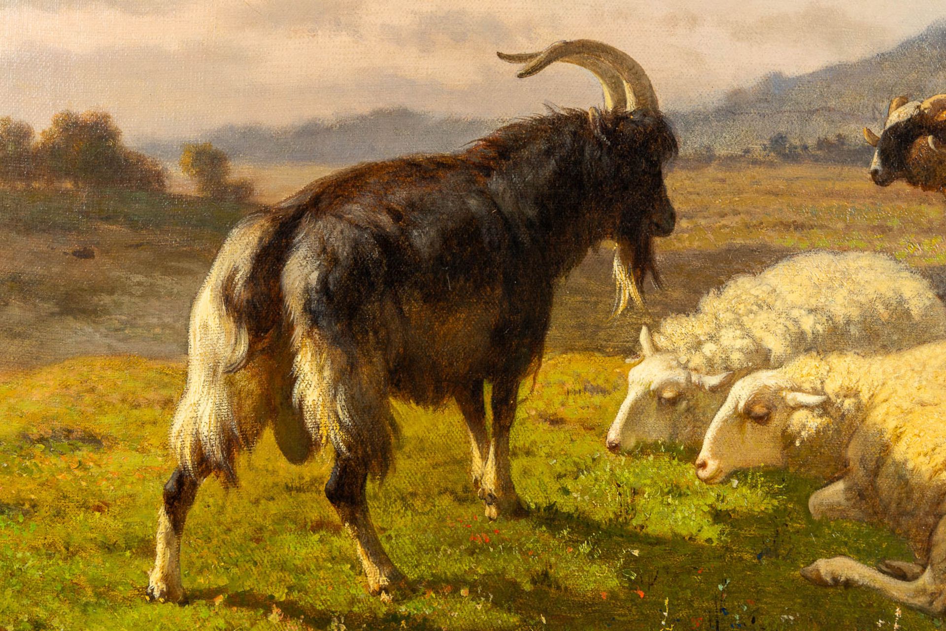 Louis ROBBE (1806-1887) 'Sheep and Rams' oil on canvas. (W:76 x H:57 cm) - Image 4 of 7