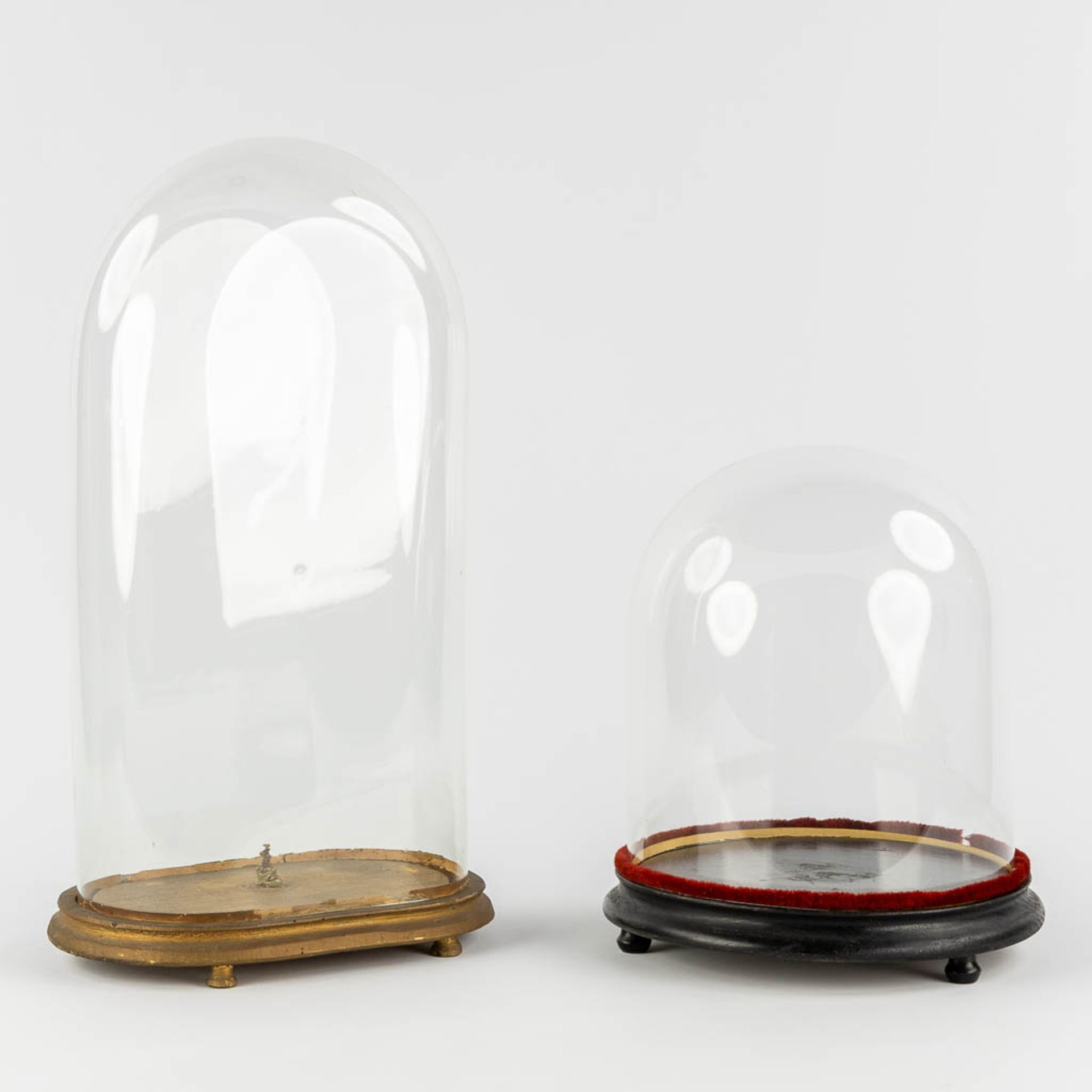 Two glass domes on a wood base. (H:60 cm)