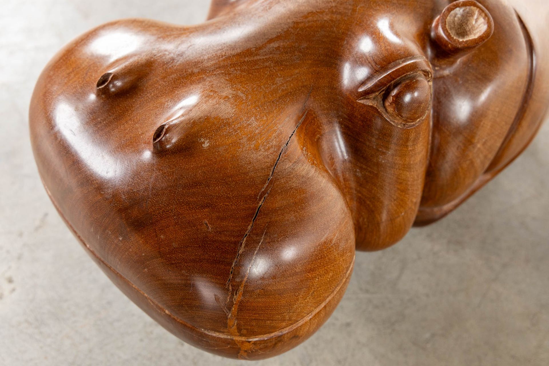 Two benches in the shape of a hippo, sculptured mahogany. (L:50 x W:94 x H:35 cm) - Image 12 of 13