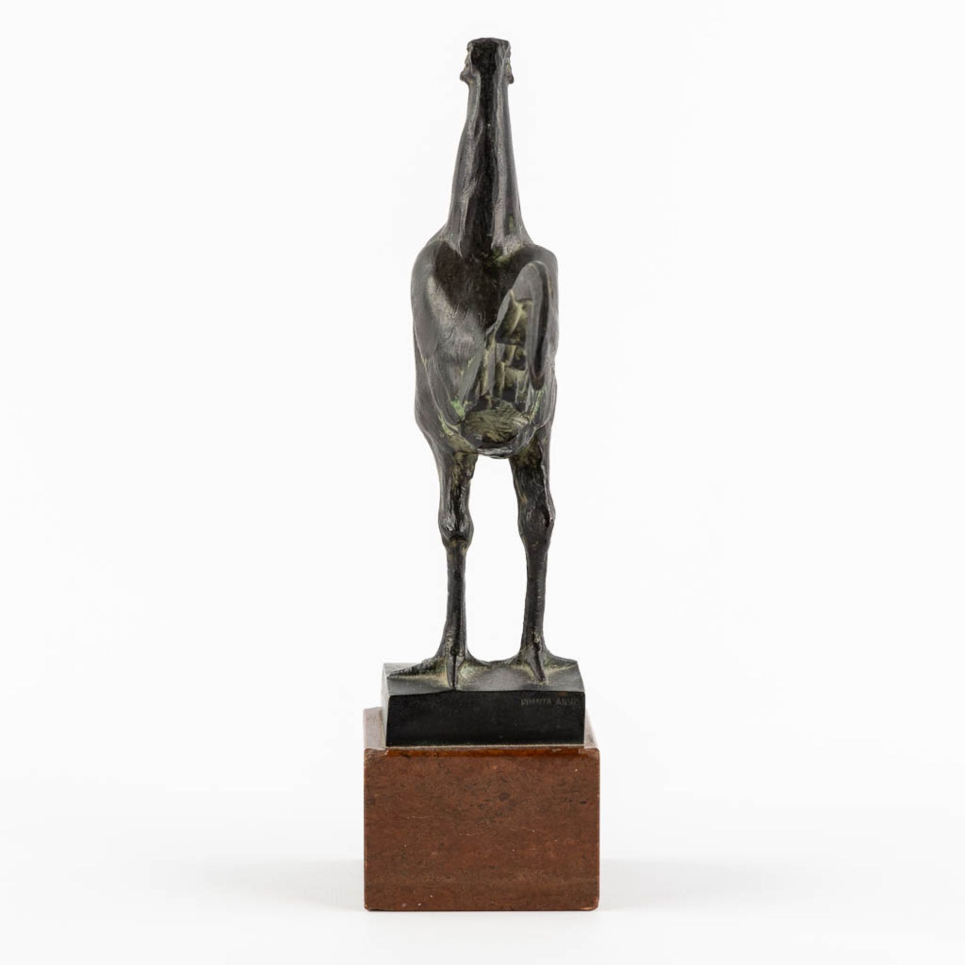 K. STACHOWSKY (XIX-XX) 'Rooster' patinated bronze on marble. (L:15 x W:7 x H:26 cm) - Image 5 of 11