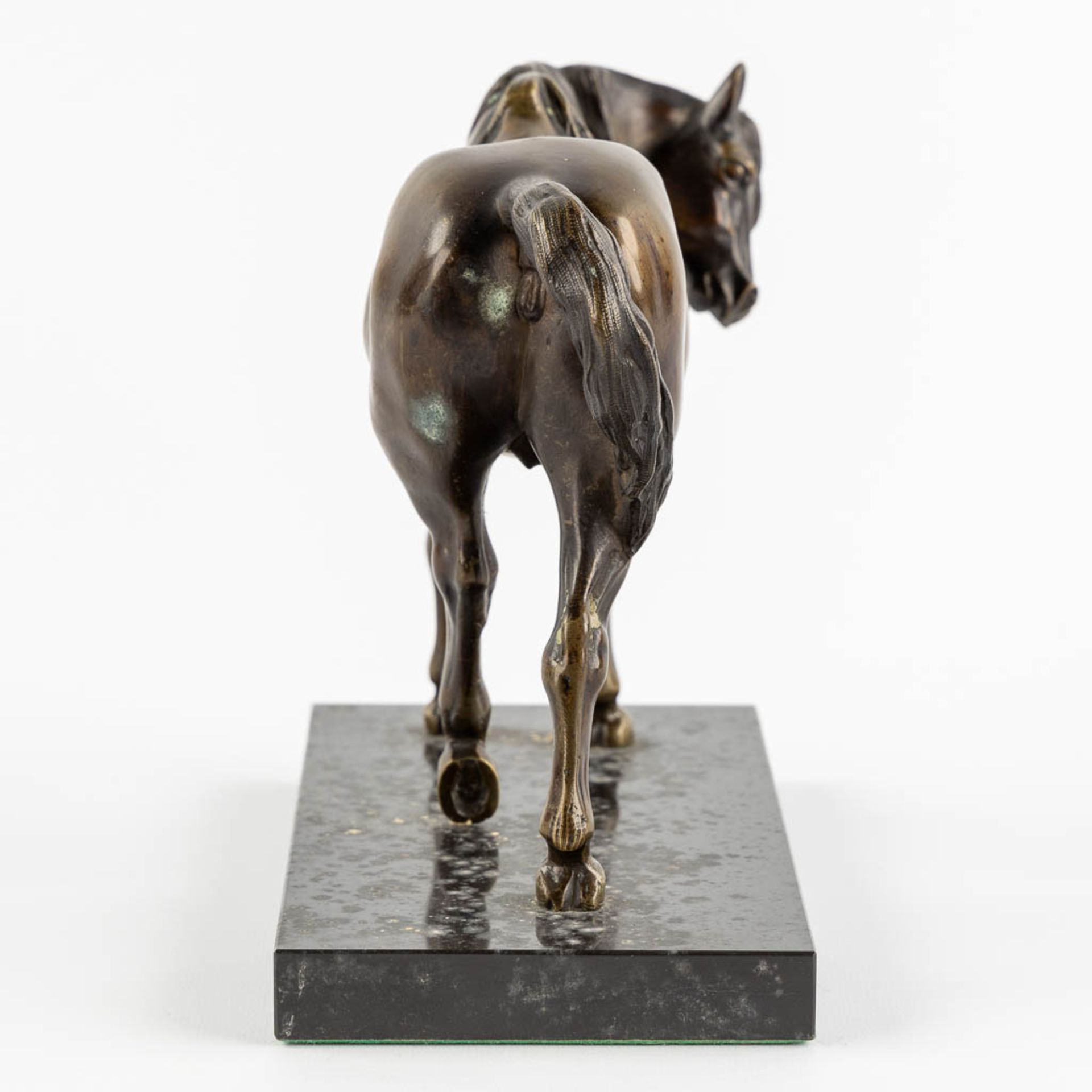 A patinated bronze figurine of a horse, black marble. (L:11 x W:27 x H:18 cm) - Image 4 of 9