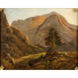 Thomas S. BOWMAN (1845-1909) 'Glencoe' A mountain landscape, oil on canvas. (W:57 x H:46 cm)