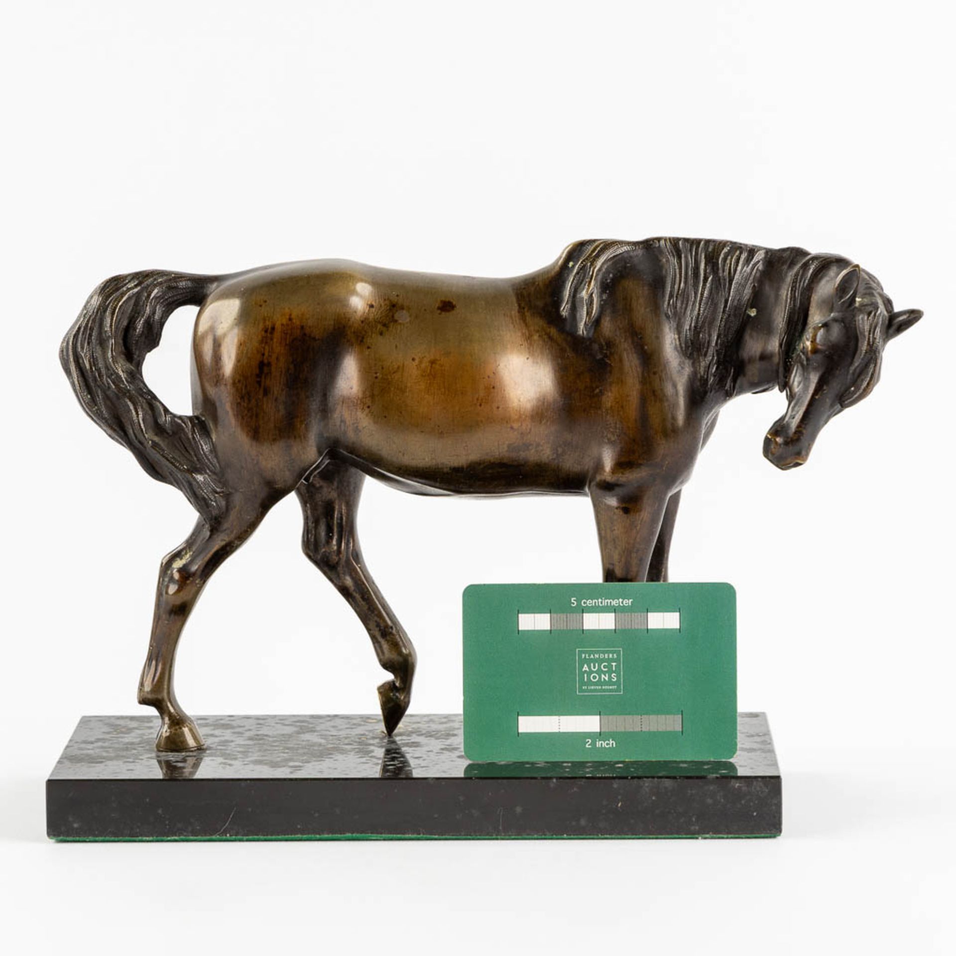 A patinated bronze figurine of a horse, black marble. (L:11 x W:27 x H:18 cm) - Image 2 of 9