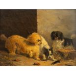 Vincent DE VOS (1829-1875) 'Chasing a mouse' oil on panel. (W:25 x H:17,5 cm)