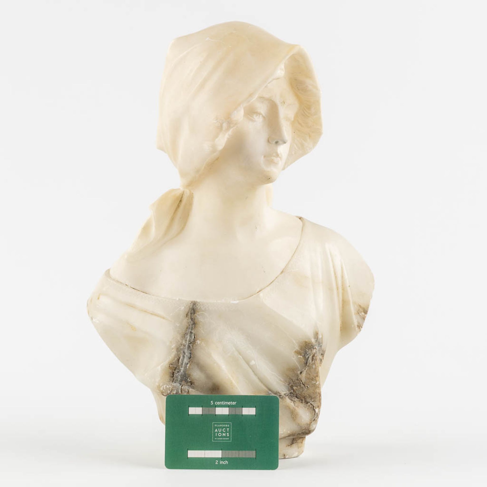 Guglielmo PUGI (c.1850-1915) 'Bust of a Lady' sculptured alabaster. (L:14 x W:23 x H:33 cm) - Image 2 of 11