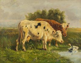 Paul SCHOUTEN (1860-1922) 'Drinking Cows' oil on canvas. (W:70,5 x H:55,5 cm)