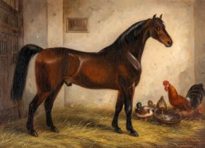 After Abraham Hendrik WINTER (1800-1861) 'Horse in a stable' oil on canvas. (W:73 x H:55 cm)