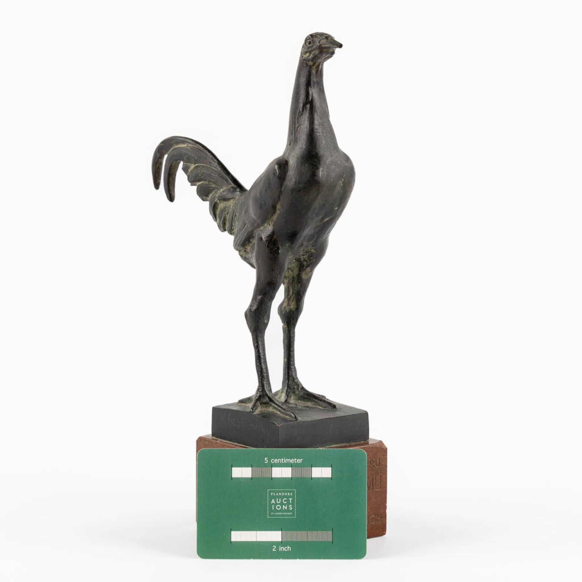 K. STACHOWSKY (XIX-XX) 'Rooster' patinated bronze on marble. (L:15 x W:7 x H:26 cm) - Image 2 of 11