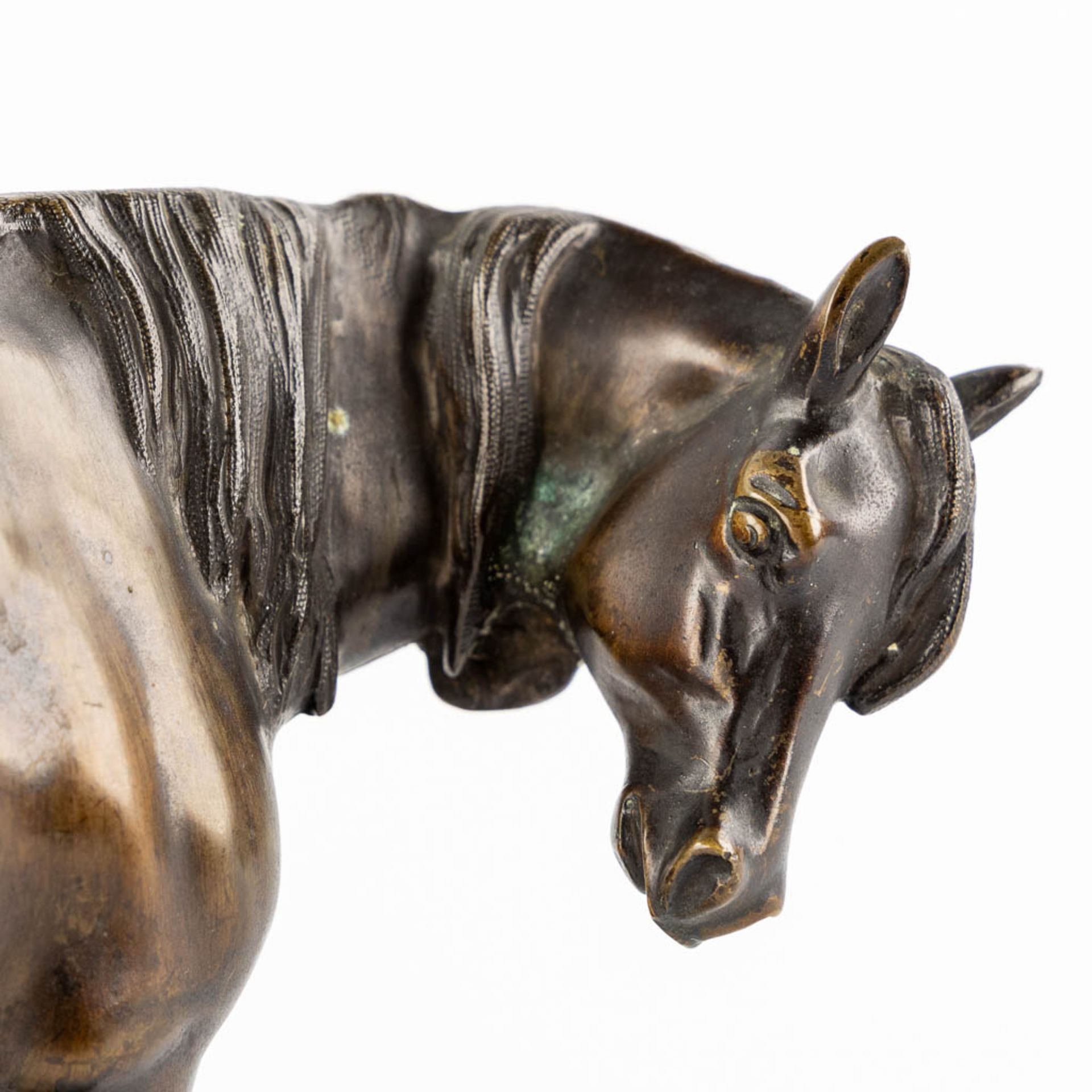 A patinated bronze figurine of a horse, black marble. (L:11 x W:27 x H:18 cm) - Image 7 of 9