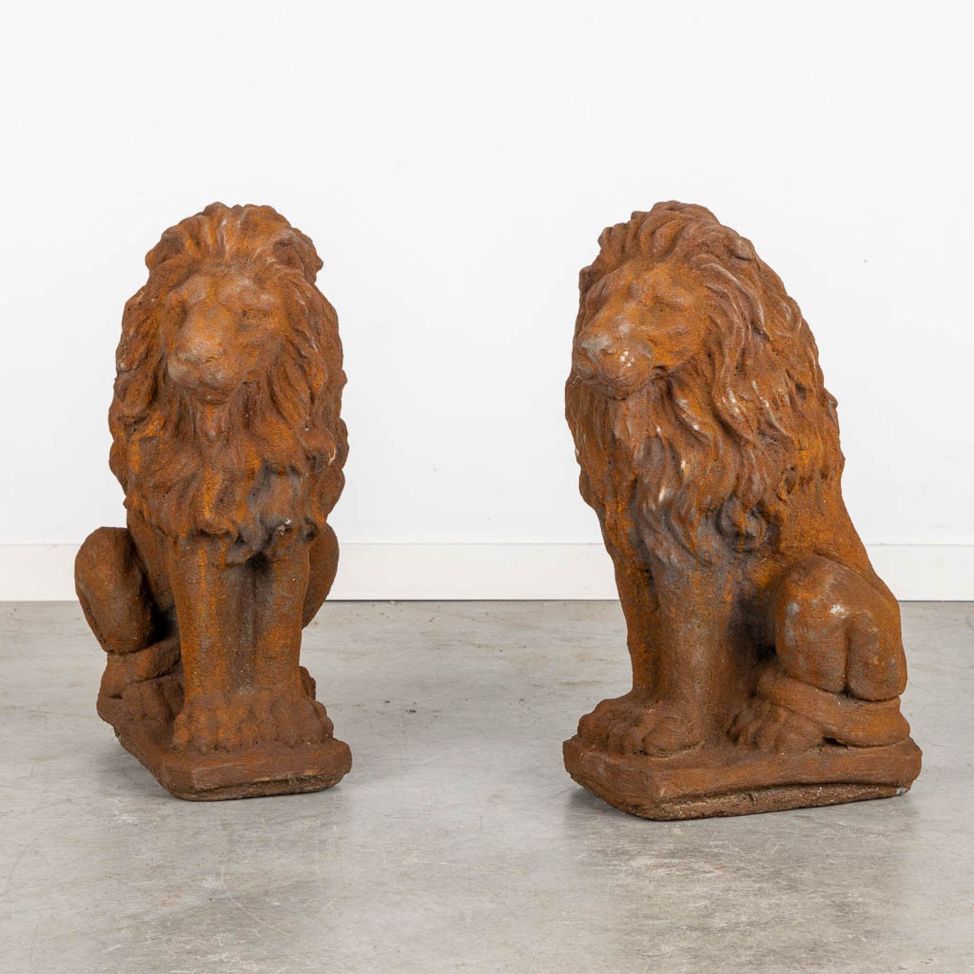 A pair of decorative garden figurines of lions, cast-iron. (H:54 cm)