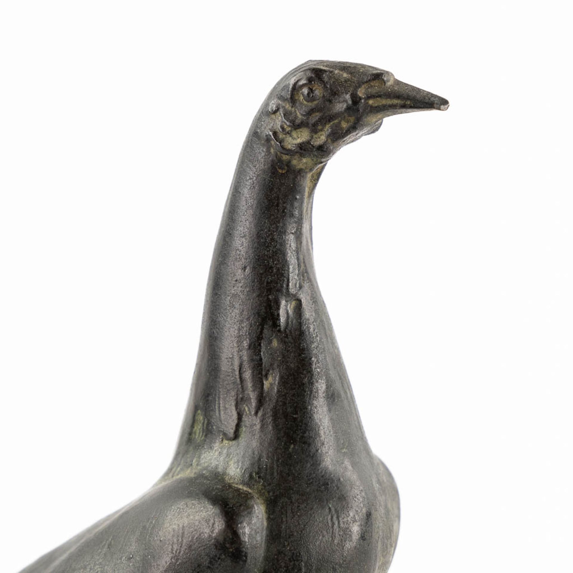 K. STACHOWSKY (XIX-XX) 'Rooster' patinated bronze on marble. (L:15 x W:7 x H:26 cm) - Bild 8 aus 11