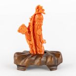 A Chinese coral figurine of Shoulao, 23g. (H:8,5 cm)