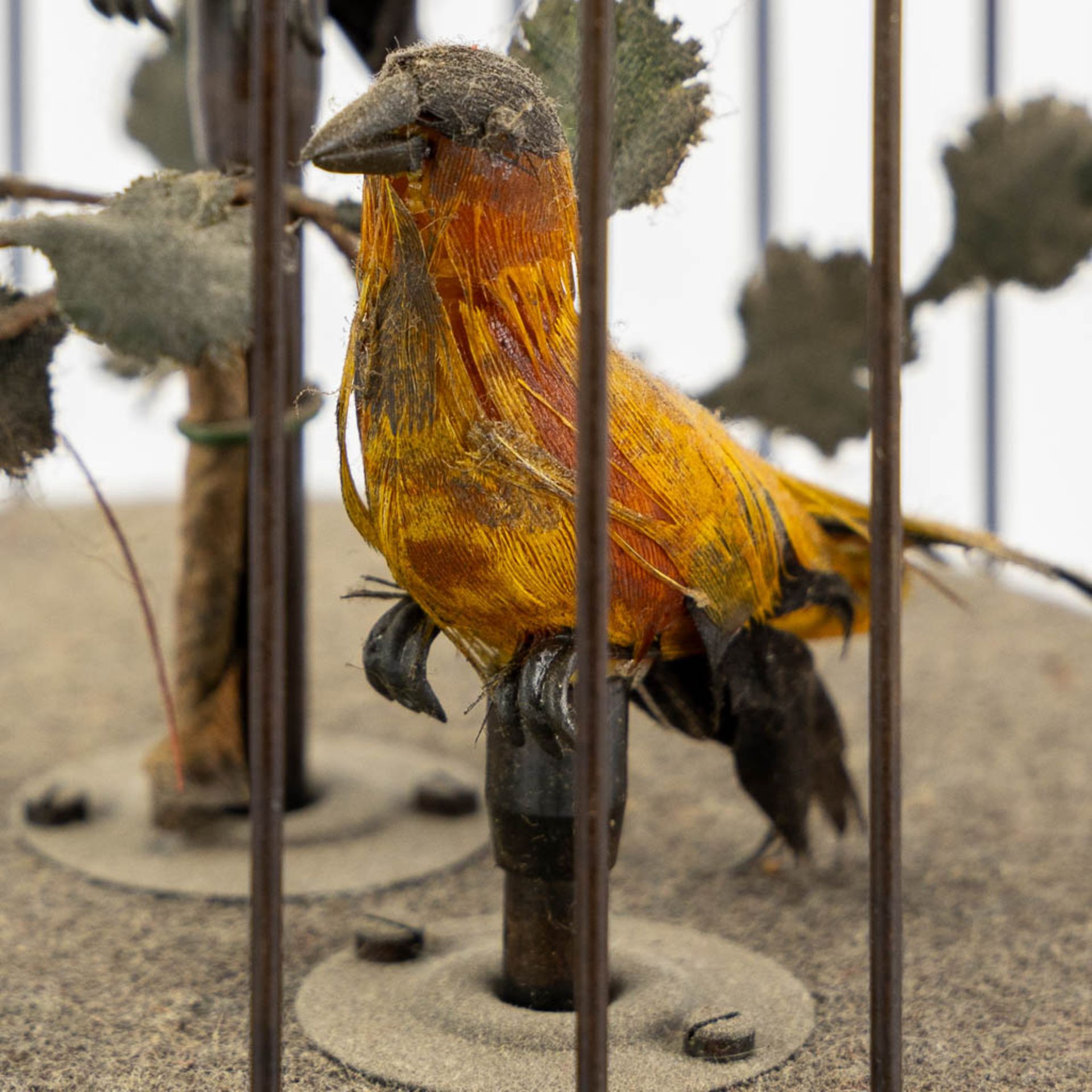 A brass bird-cage automata with two singing birds. (H:28 x D:16 cm) - Bild 7 aus 9