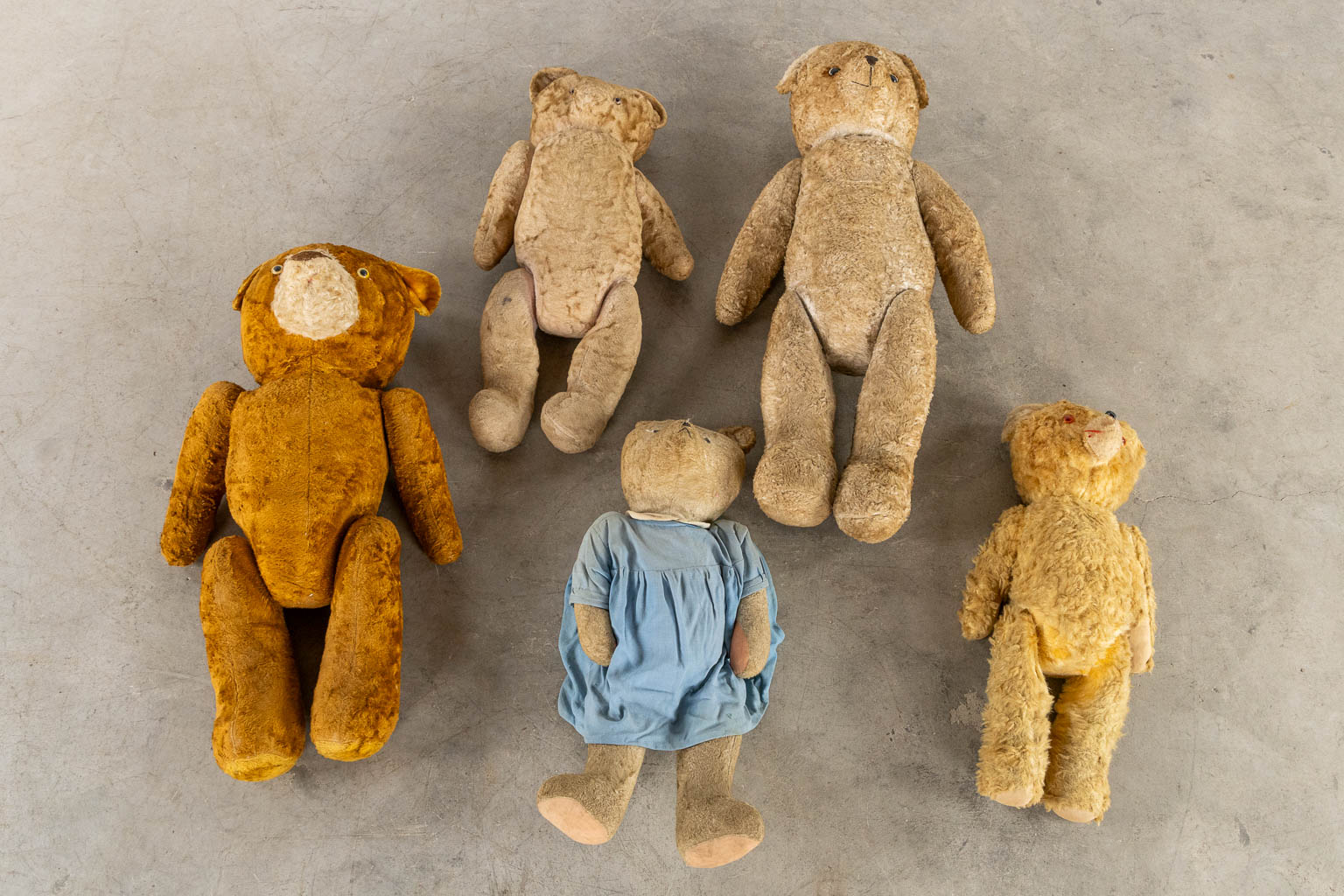 Five antique bears. Circa 1920-1950. (H:84 cm) - Image 7 of 8