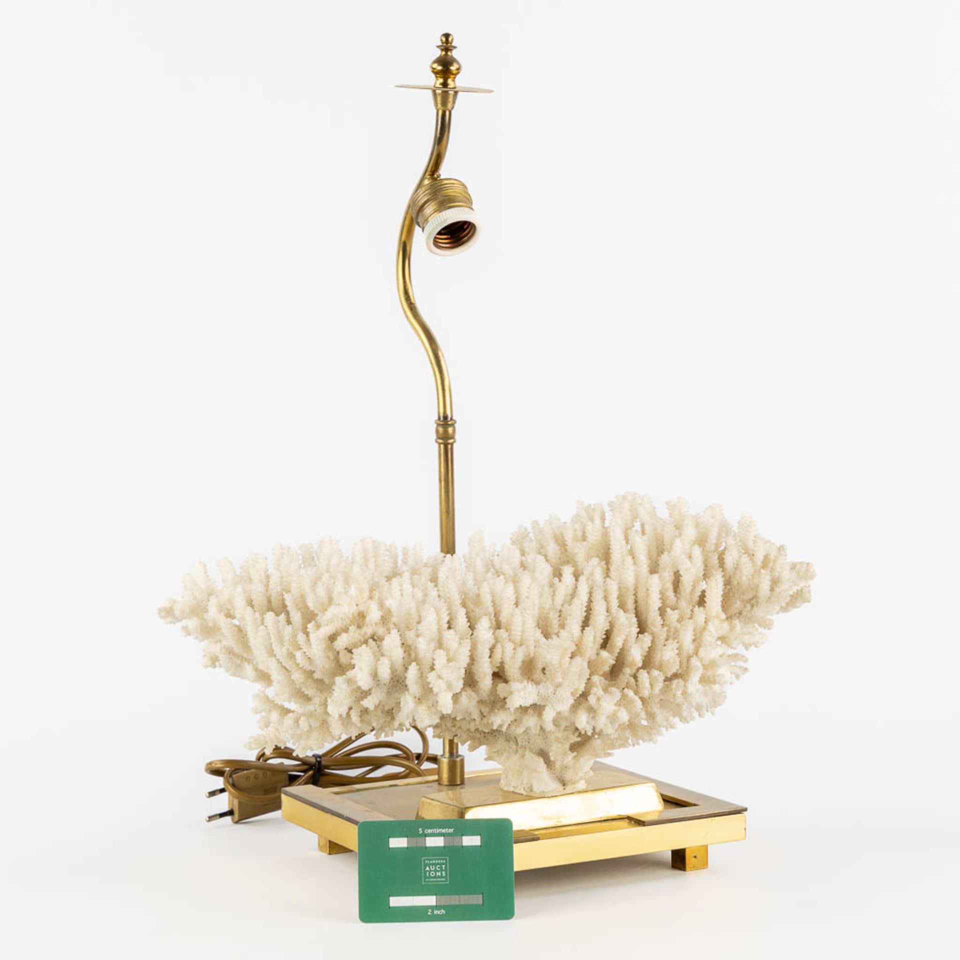 A decorative table lamp with a white coral. Circa 1980. (L:25 x W:39 x H:49 cm) - Bild 2 aus 10