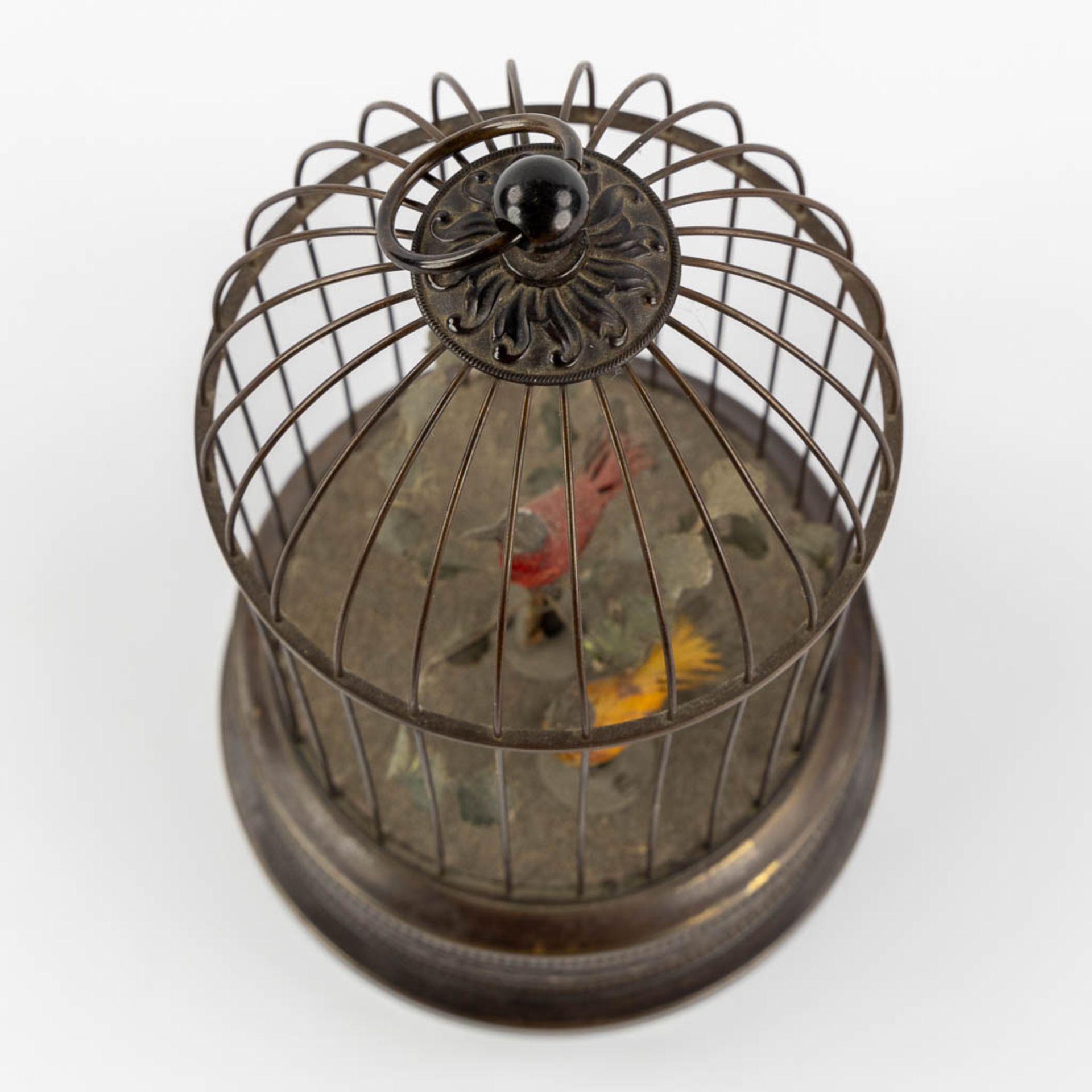 A brass bird-cage automata with two singing birds. (H:28 x D:16 cm) - Bild 9 aus 9