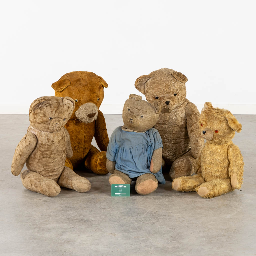 Five antique bears. Circa 1920-1950. (H:84 cm) - Image 2 of 8
