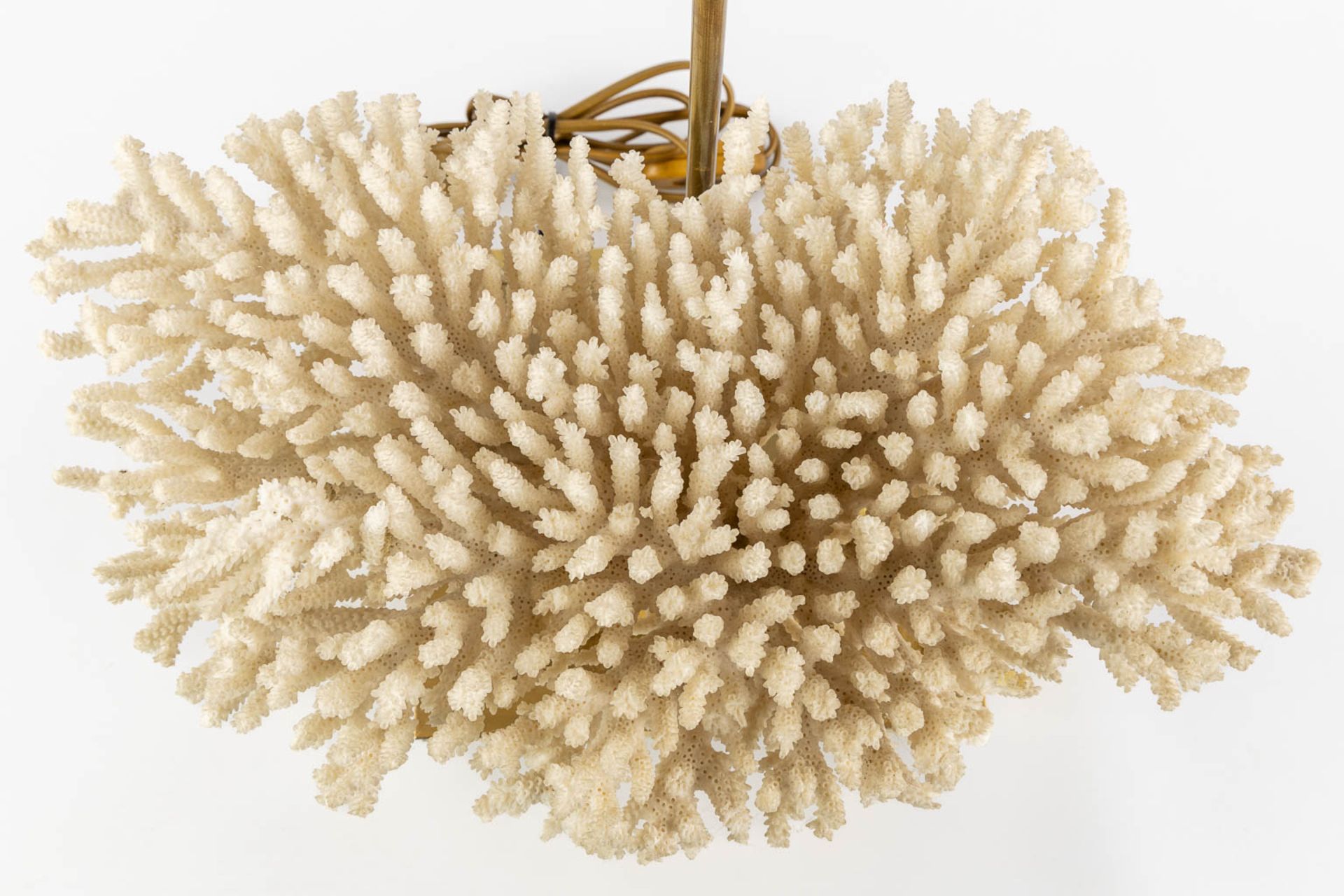 A decorative table lamp with a white coral. Circa 1980. (L:25 x W:39 x H:49 cm) - Bild 9 aus 10