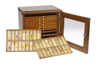 Cabinet of Microscope Slides From Royal College of Physicians, Edinburgh,