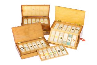 A Good Collection of Diatom Microscope Slides,