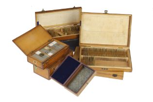 Large Collection of Microscope Slides,