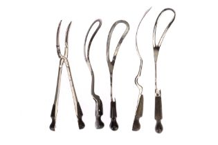 Surgical Instruments - Obstetric Instruments,