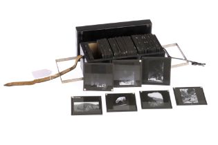 Collection of Magic Lantern Slides - Ceylon & Tea Production
