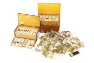Large Collection of Microscope Slides,