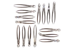 An Unusual Collection of Teaching? Dental Forceps,