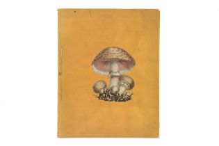 Sowerby, James, Poisonous Fungi,