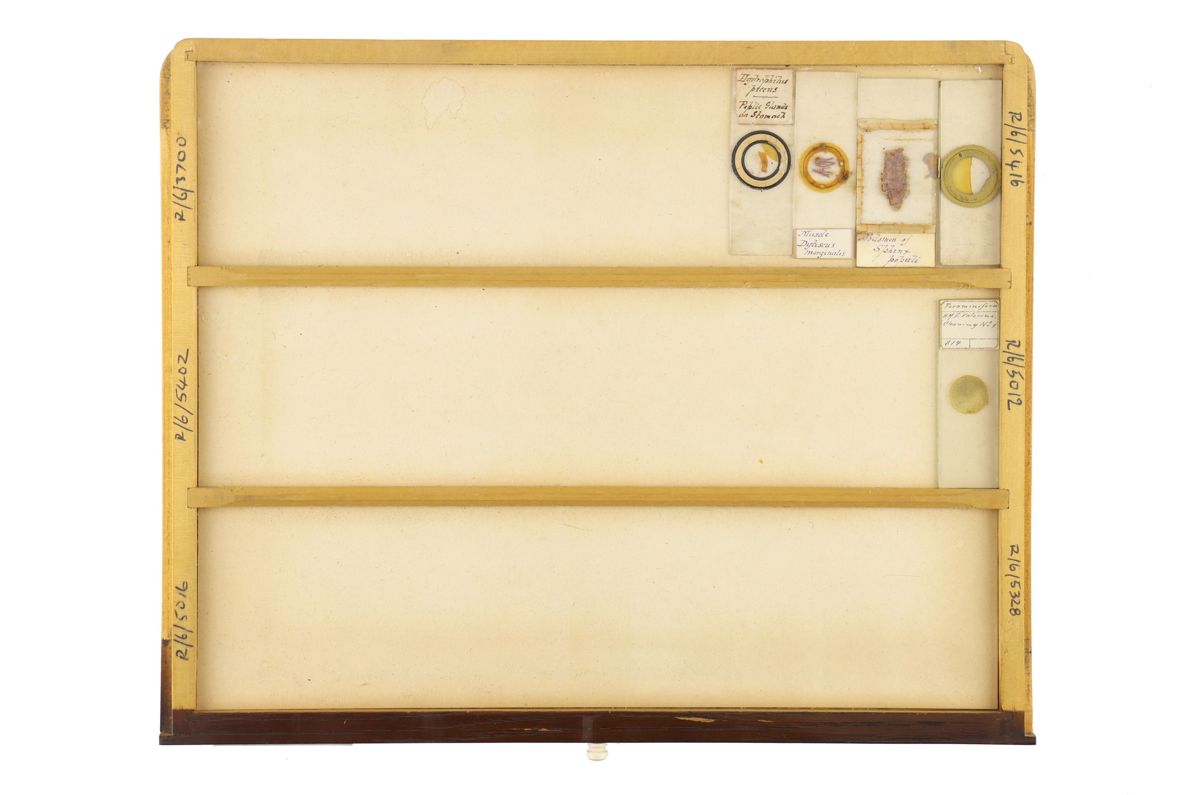 Large Cabinet of Microscope Slides, - Image 13 of 15