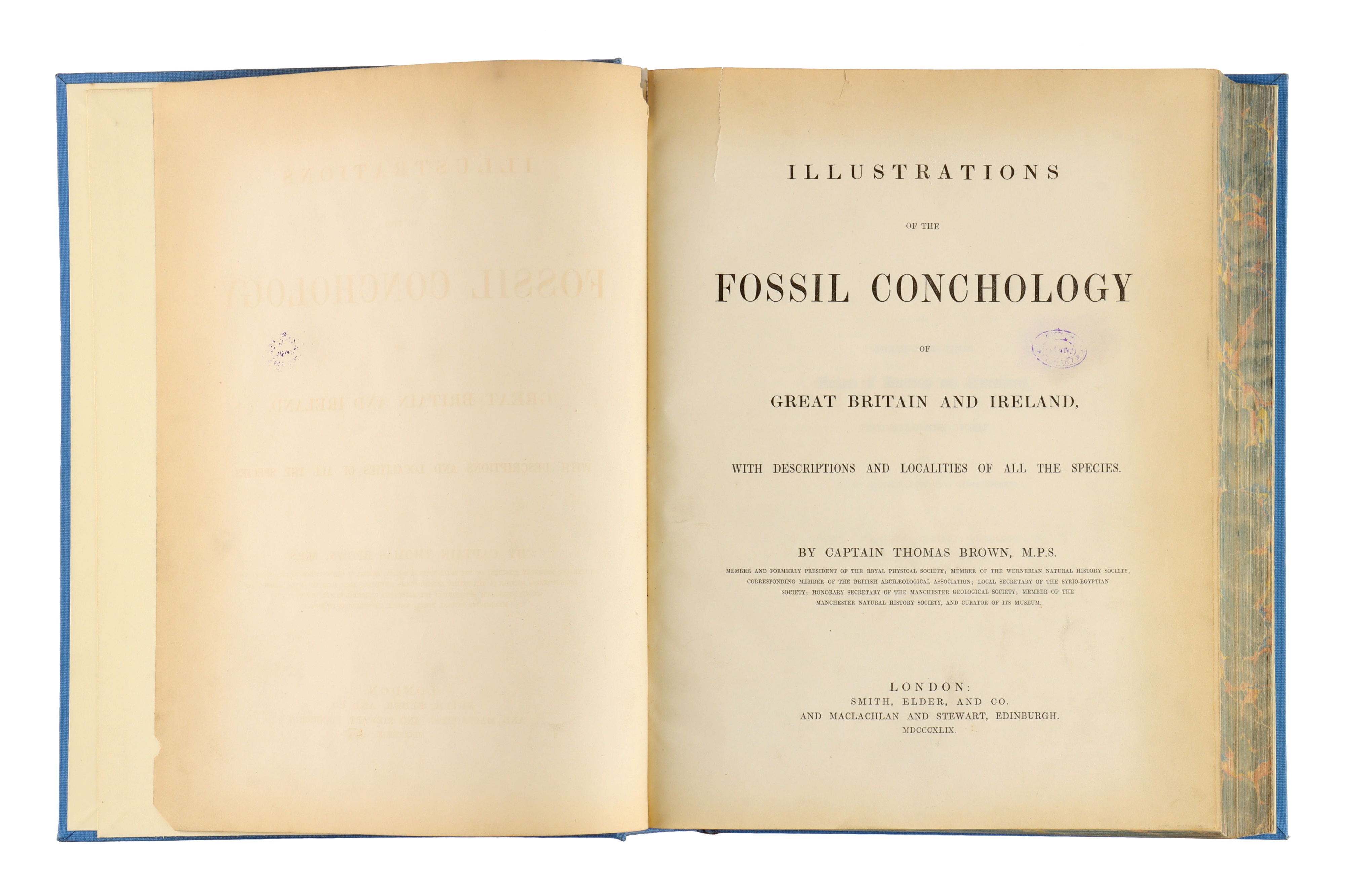 Brown, Captain Thomas, Illustrations of the Fossil Conchology of Great Britain, - Image 2 of 9