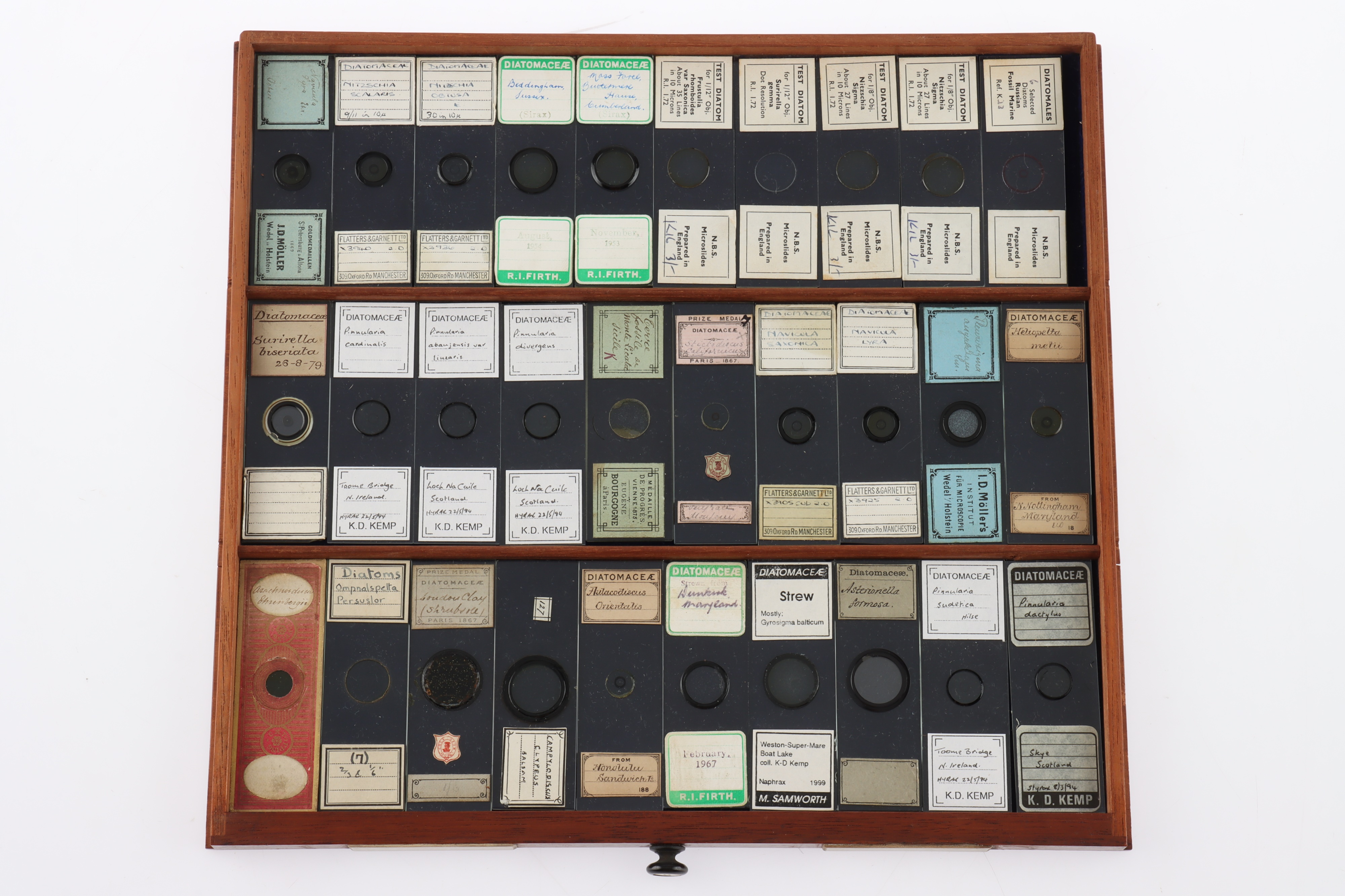 Large Cabinet of fine Victorian Microscope Slides - Image 3 of 26
