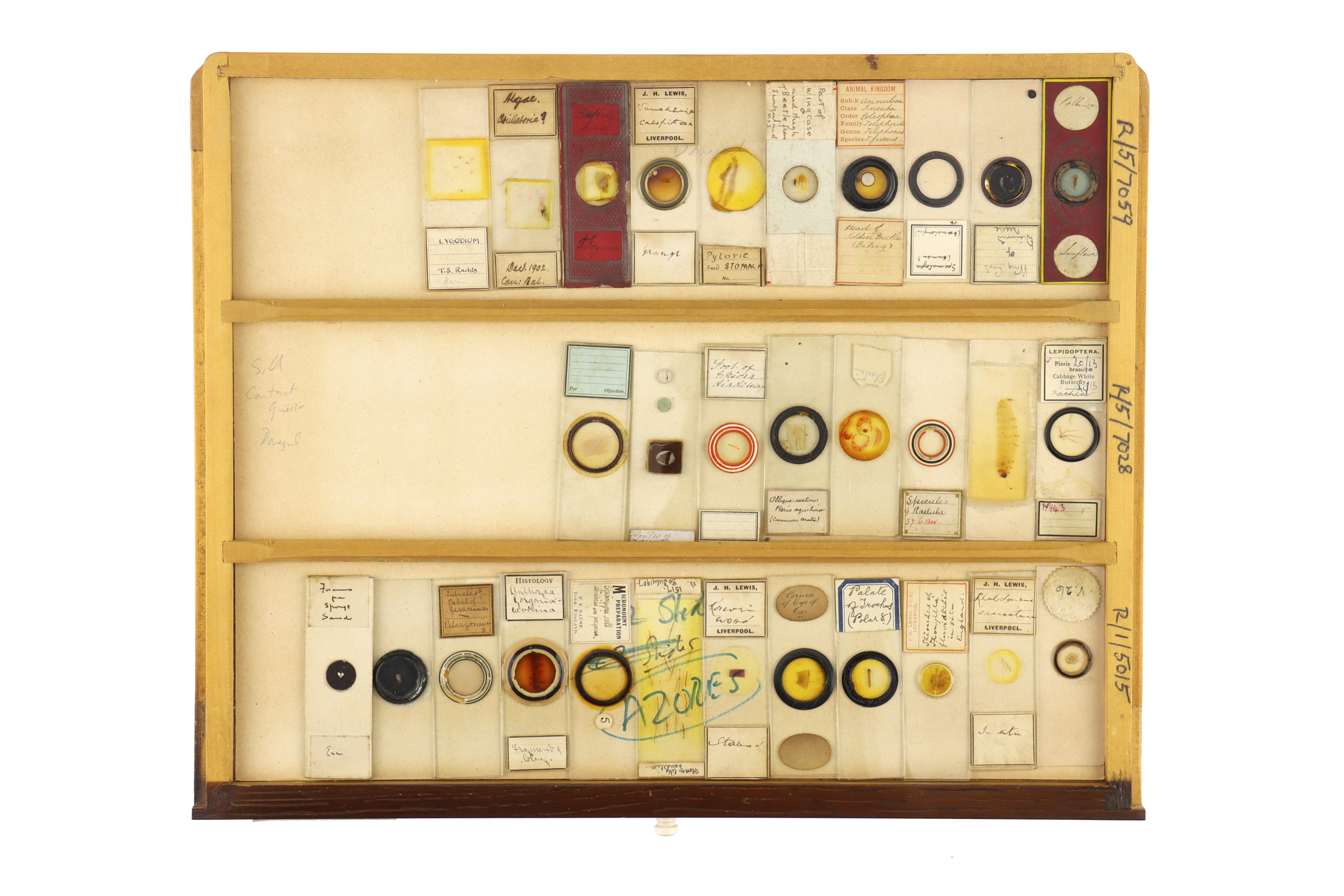 Large Cabinet of Microscope Slides, - Image 7 of 15