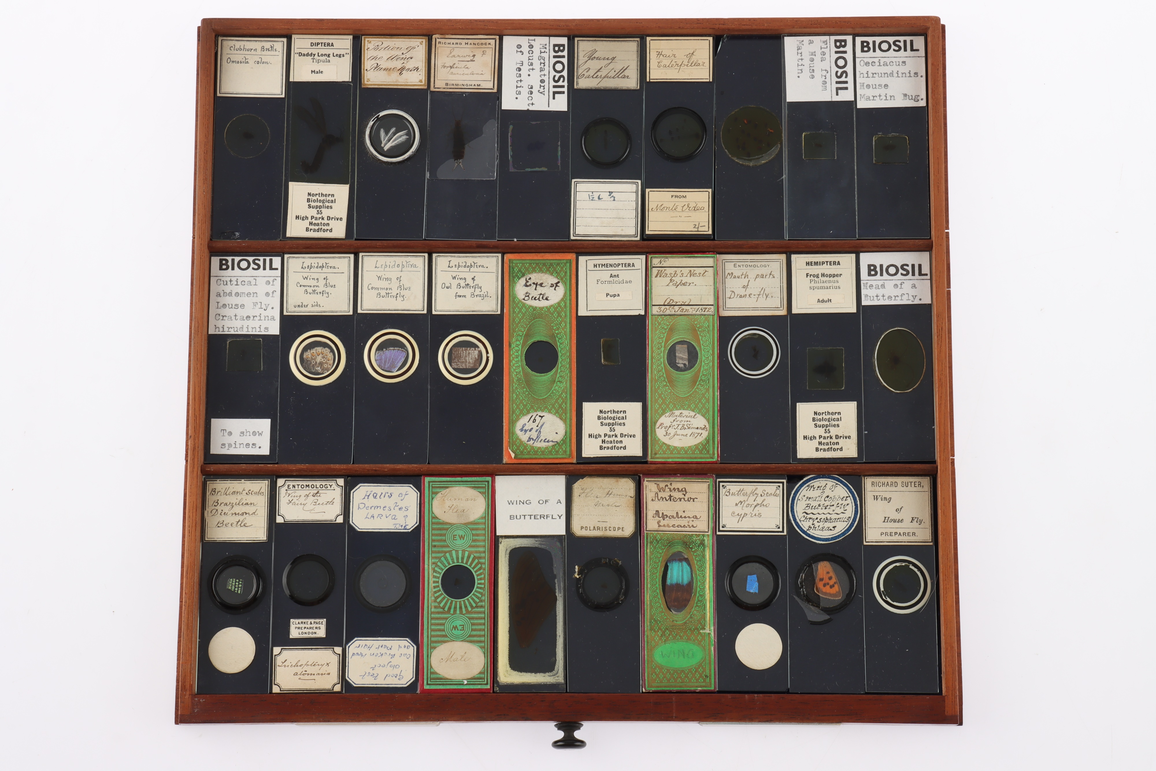 Large Cabinet of fine Victorian Microscope Slides - Image 19 of 26