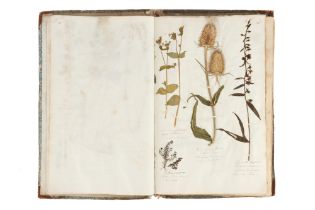 A Large Album of Pressed Plants well Annotated,