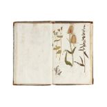 A Large Album of Pressed Plants well Annotated,