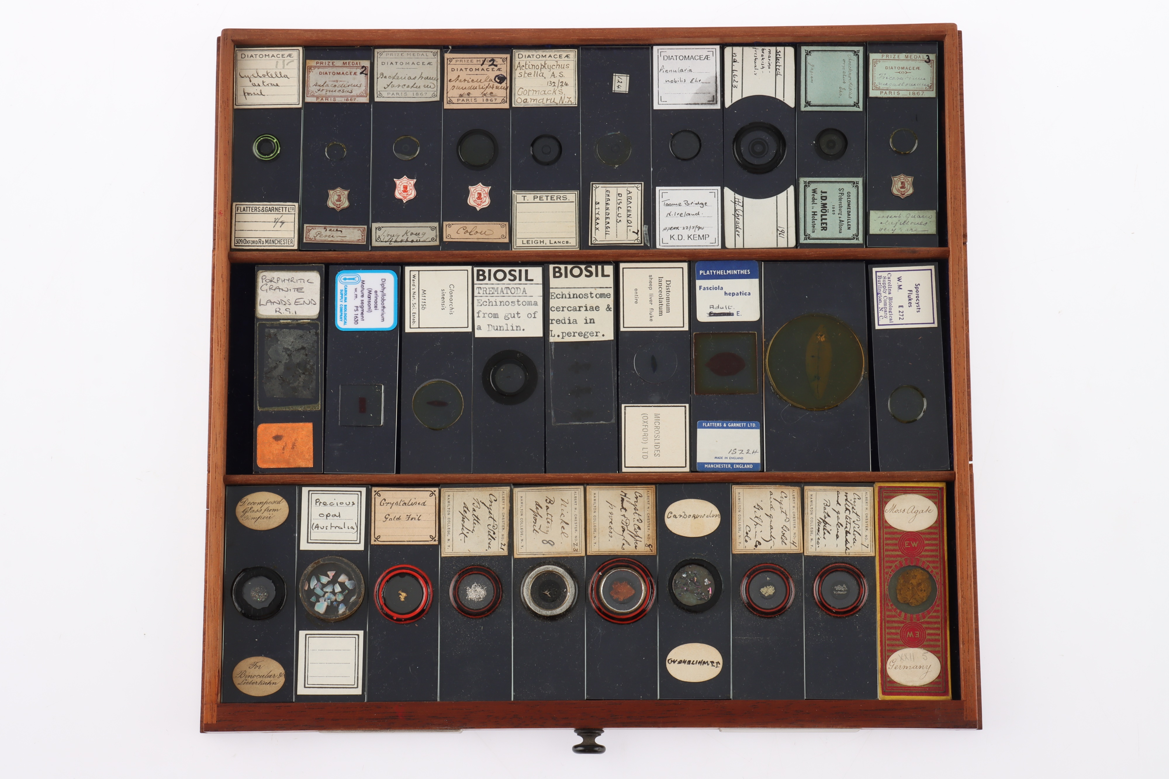 Large Cabinet of fine Victorian Microscope Slides - Image 13 of 26