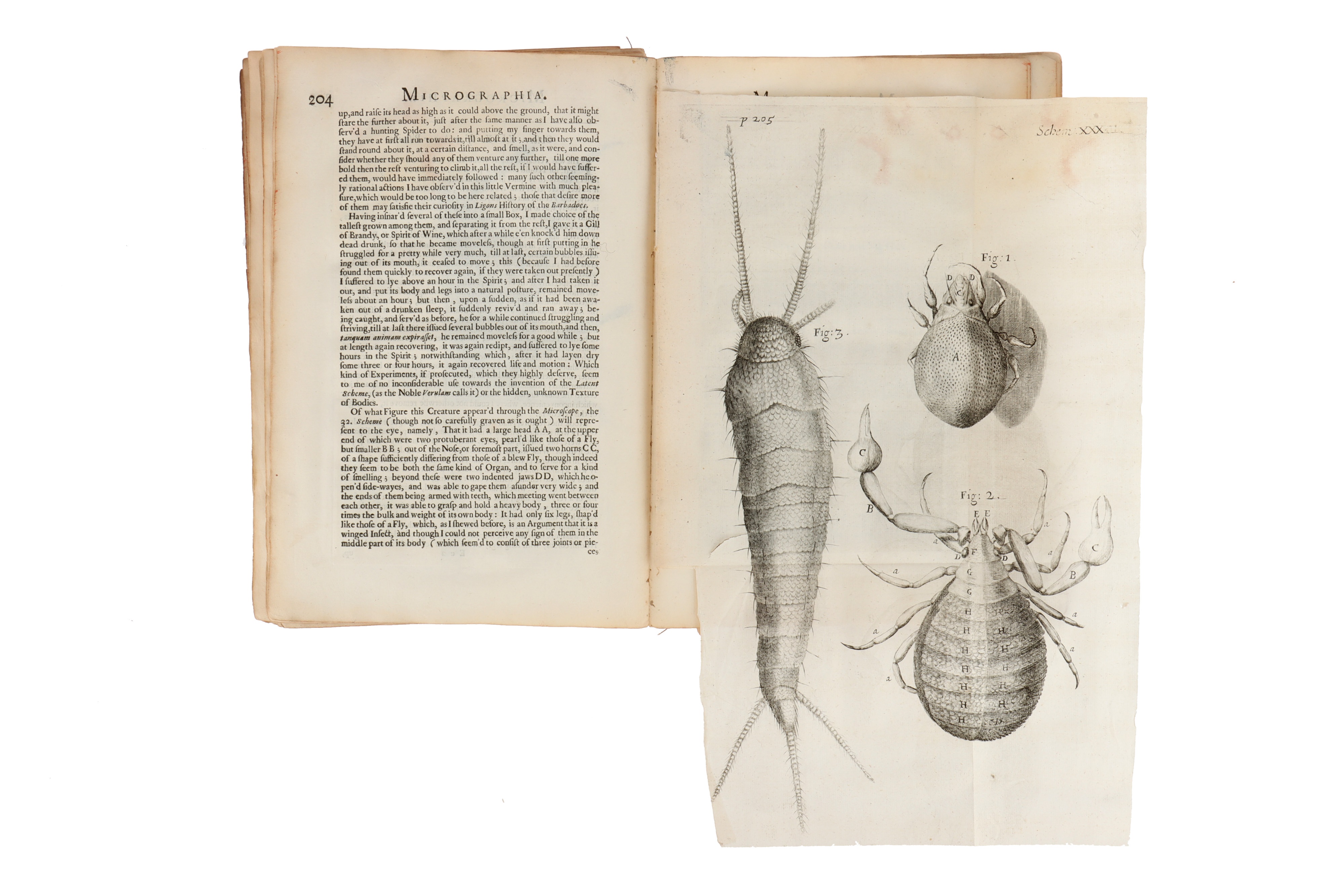 Hooke, Robert, Micrographia, - Image 4 of 6