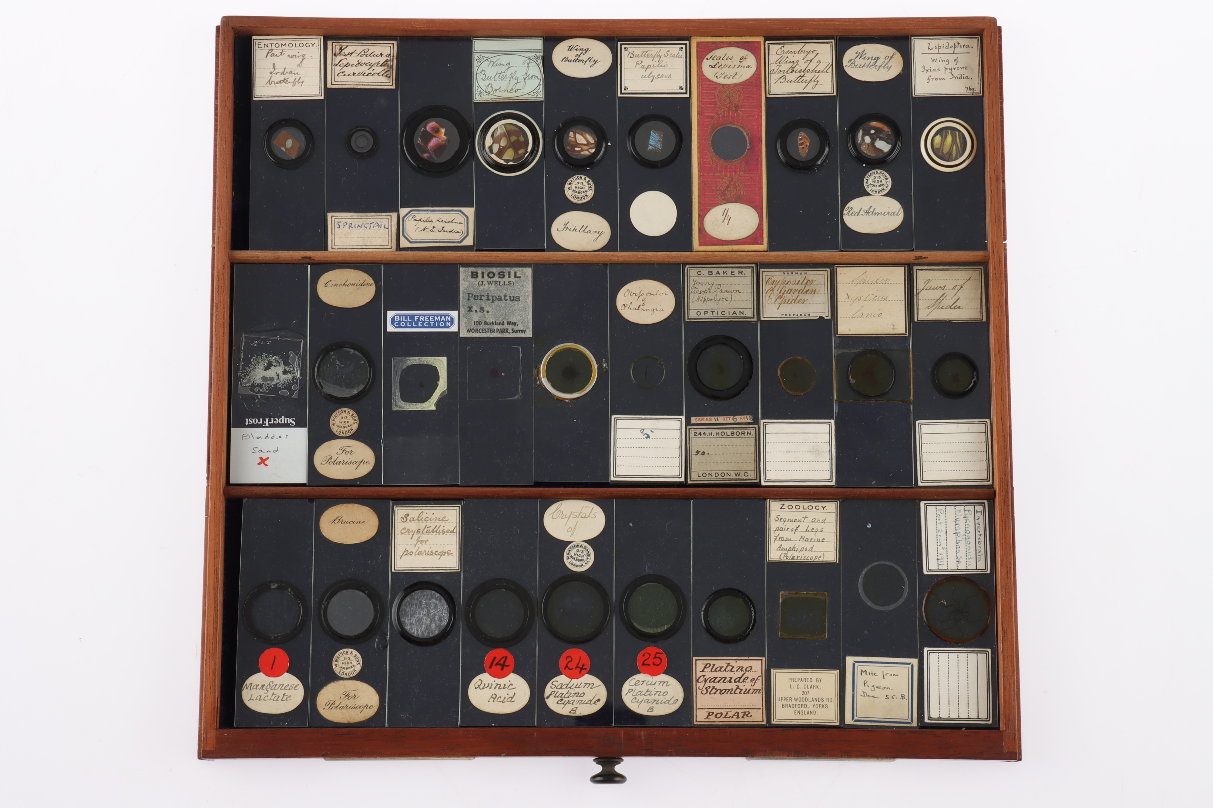 Large Cabinet of fine Victorian Microscope Slides - Image 18 of 26
