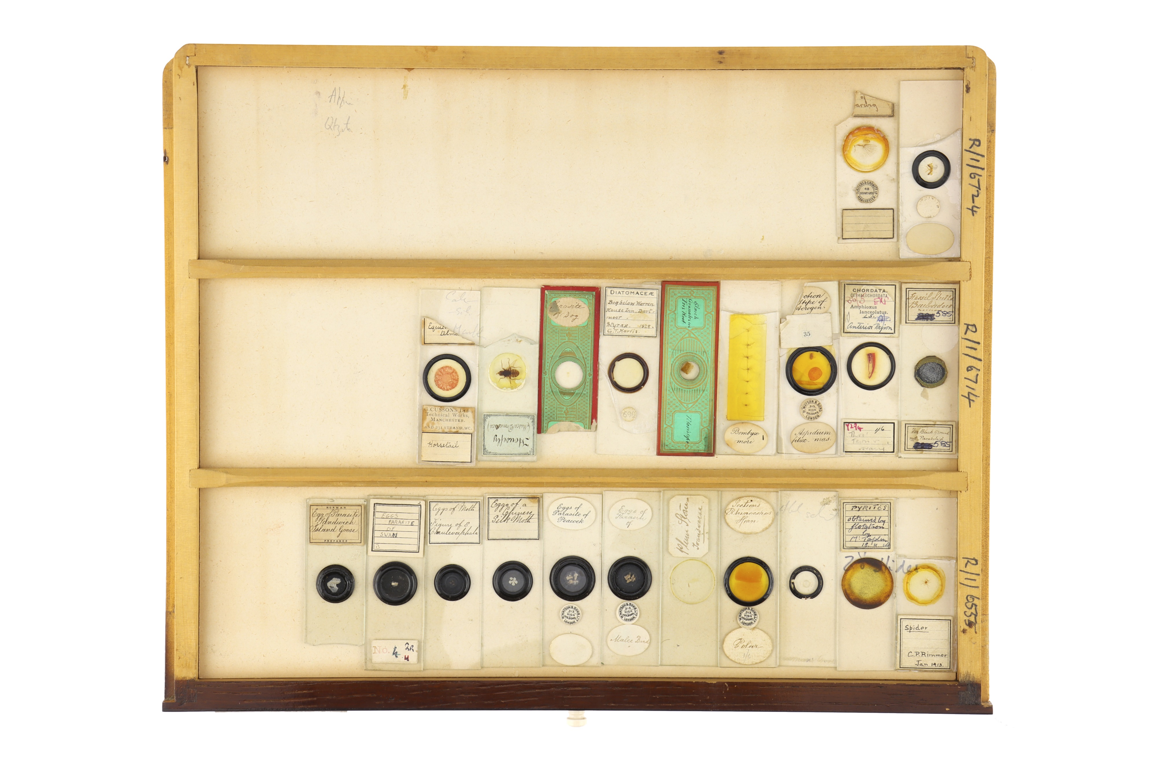 Large Cabinet of Microscope Slides, - Image 6 of 15