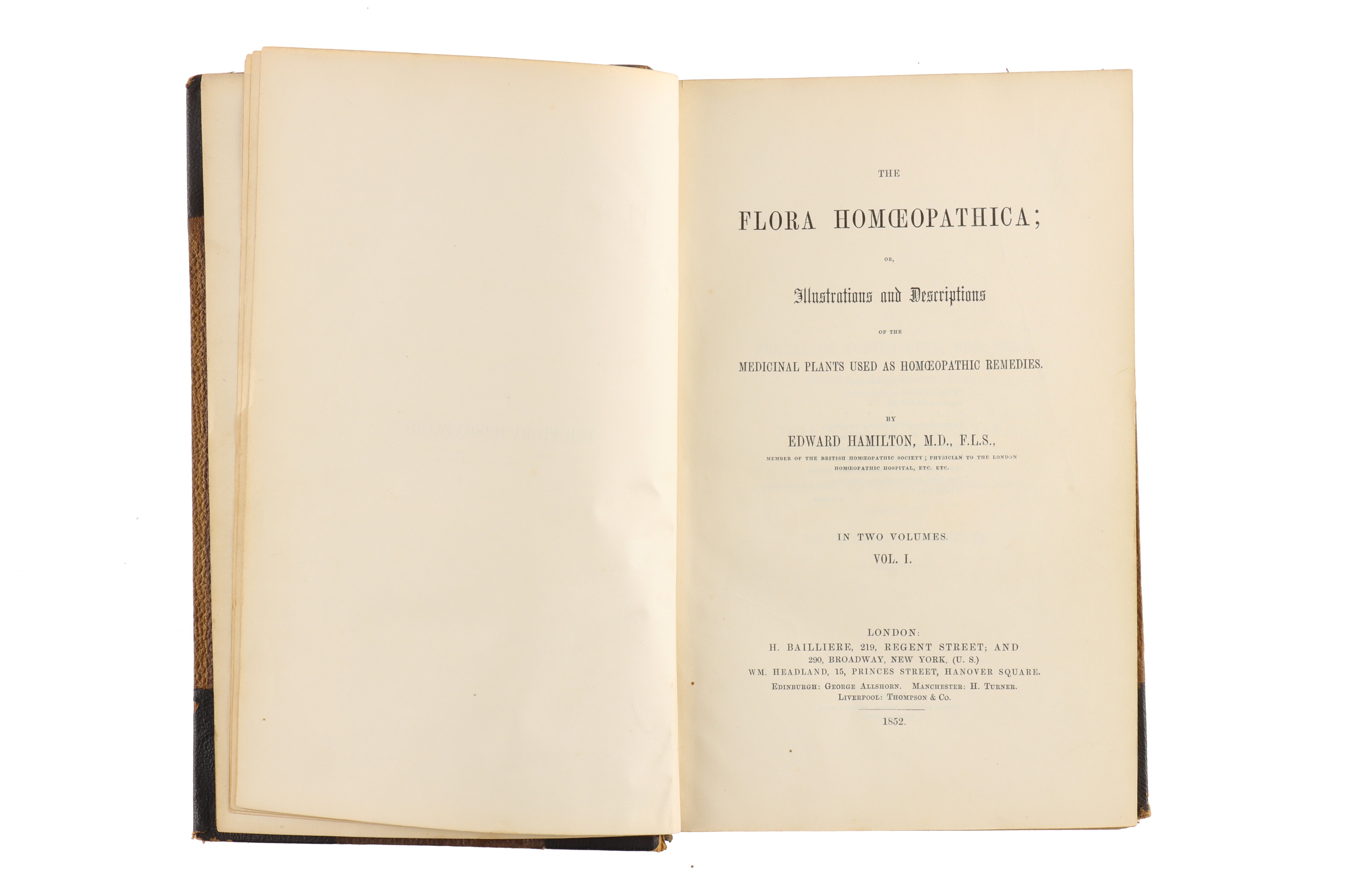 Hamilton, Edward, The Flora Homoeopathica, - Image 2 of 7