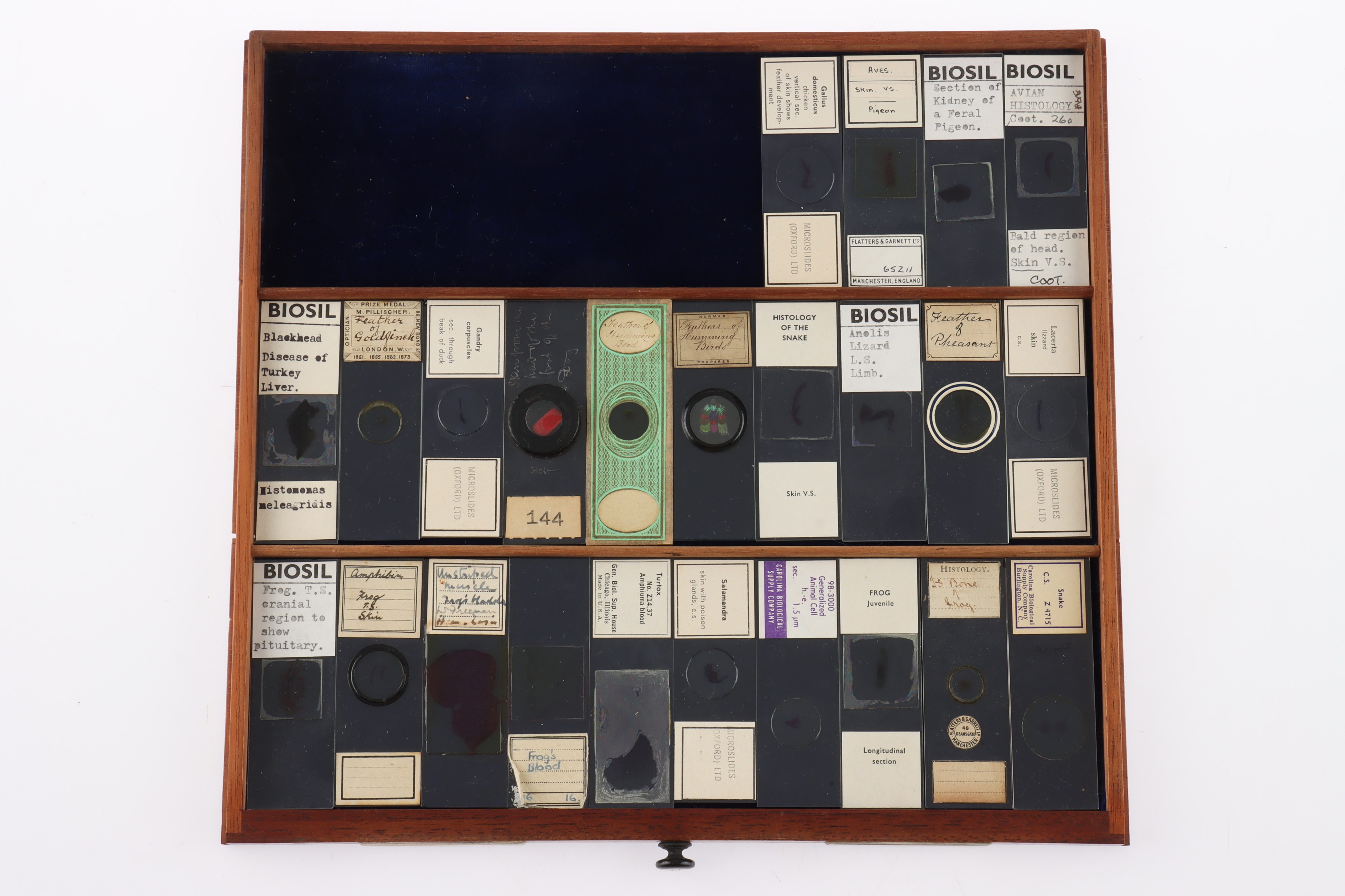 Large Cabinet of fine Victorian Microscope Slides - Image 15 of 26
