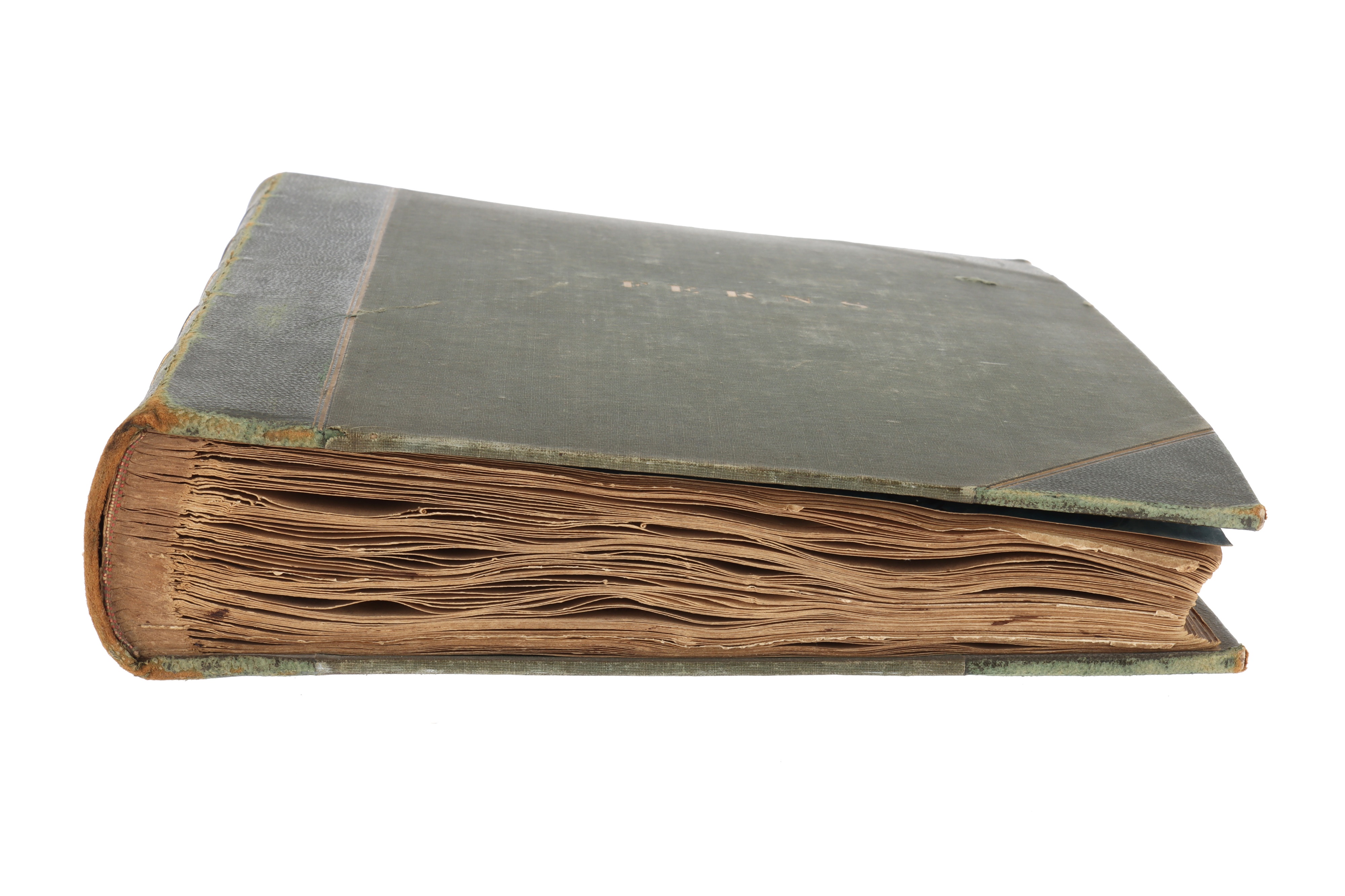 A Large & Well Annotated Mid 19th Century Album of Pressed Ferns, - Image 11 of 11